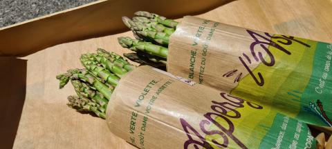 bandes asperges kraft