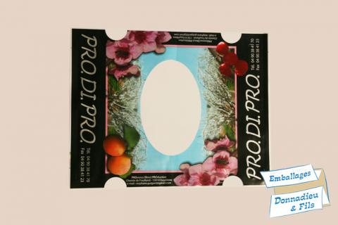 details fenestrelles