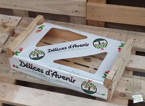 details fenestrelles