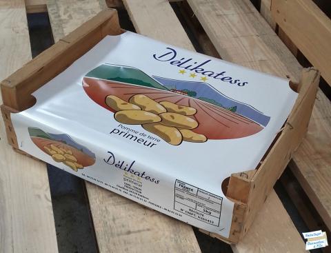 details complexe-fenetre