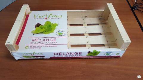 details complexe-fenetre